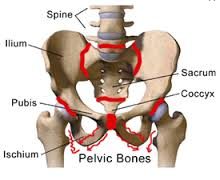 Pelvic Girdle Pain / Sacroiliac Pain - Back in Action