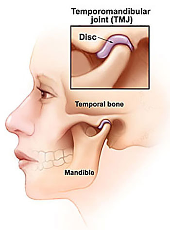 Jaw and Temporomandibular Joint: Anatomy